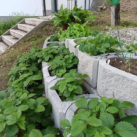 Alpennelke Family Apartman *