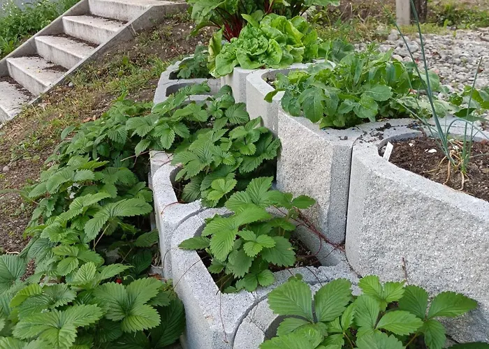 Alpennelke Family Apartament *